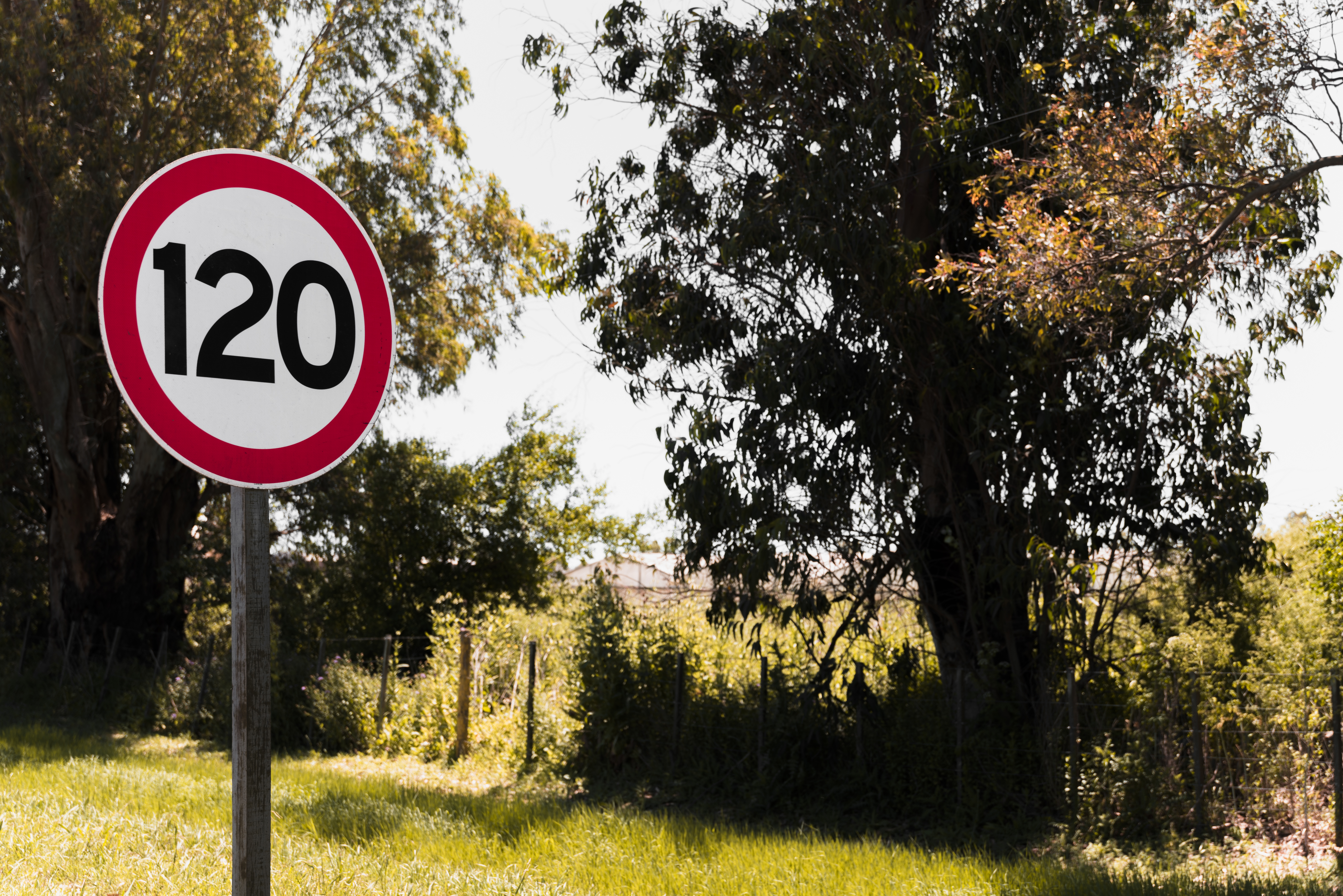 Señales de tráfico en España: Guía actualizada 2025, normativa y reclamaciones